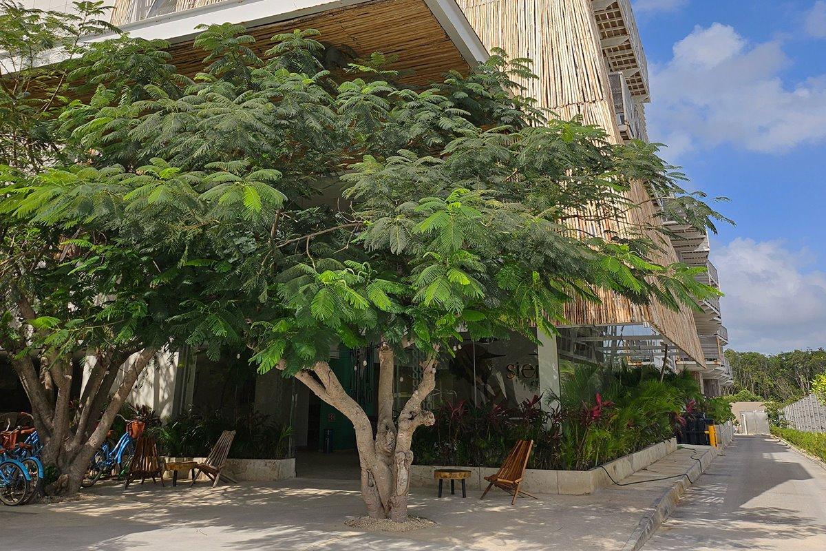 Siente Tulum Hotel Ngoại thất bức ảnh