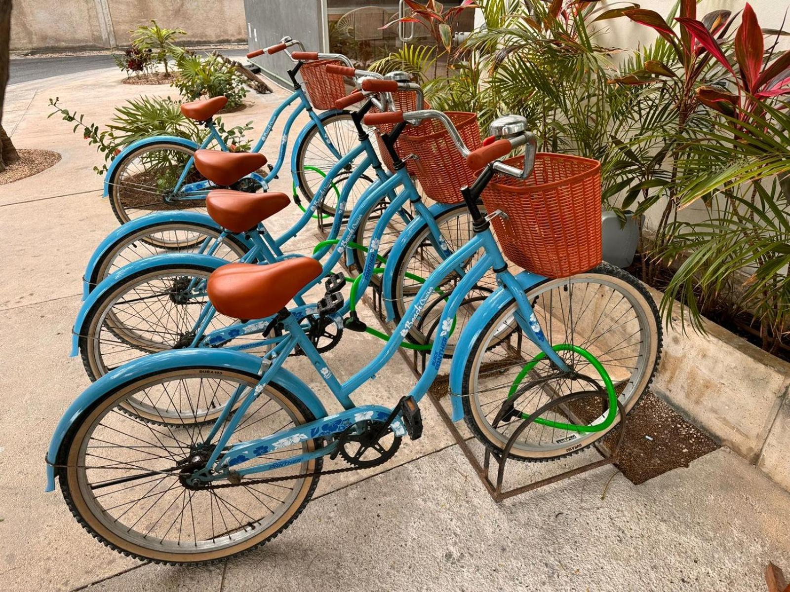 Siente Tulum Hotel Ngoại thất bức ảnh